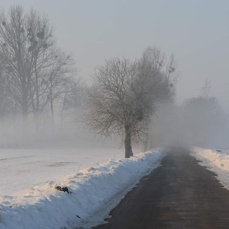 Vila Na Skraju Puszczy Hajnówka Exteriér fotografie