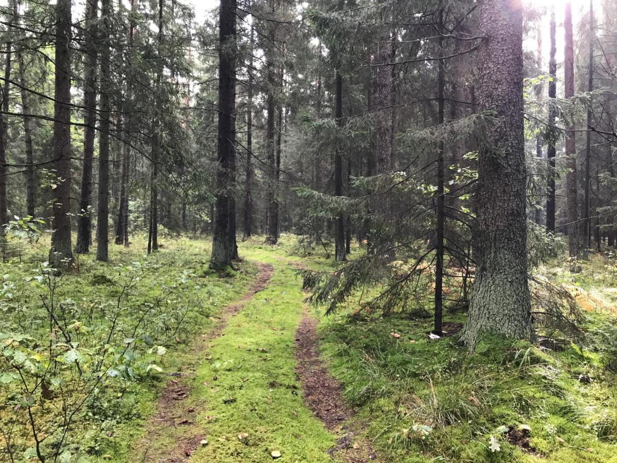 Vila Na Skraju Puszczy Hajnówka Exteriér fotografie