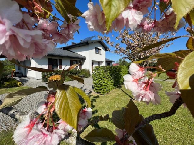 Vila Na Skraju Puszczy Hajnówka Exteriér fotografie