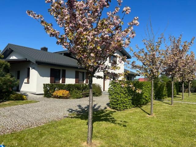 Vila Na Skraju Puszczy Hajnówka Exteriér fotografie