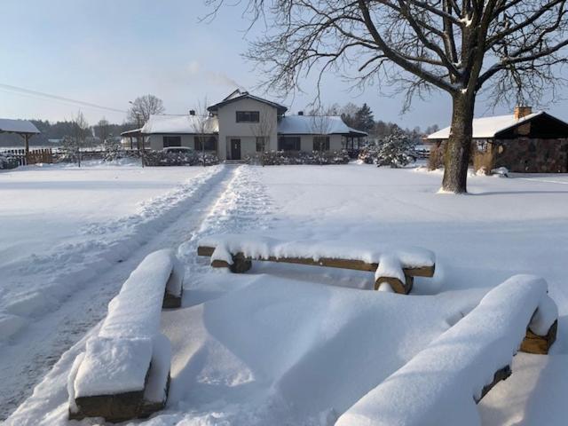Vila Na Skraju Puszczy Hajnówka Exteriér fotografie