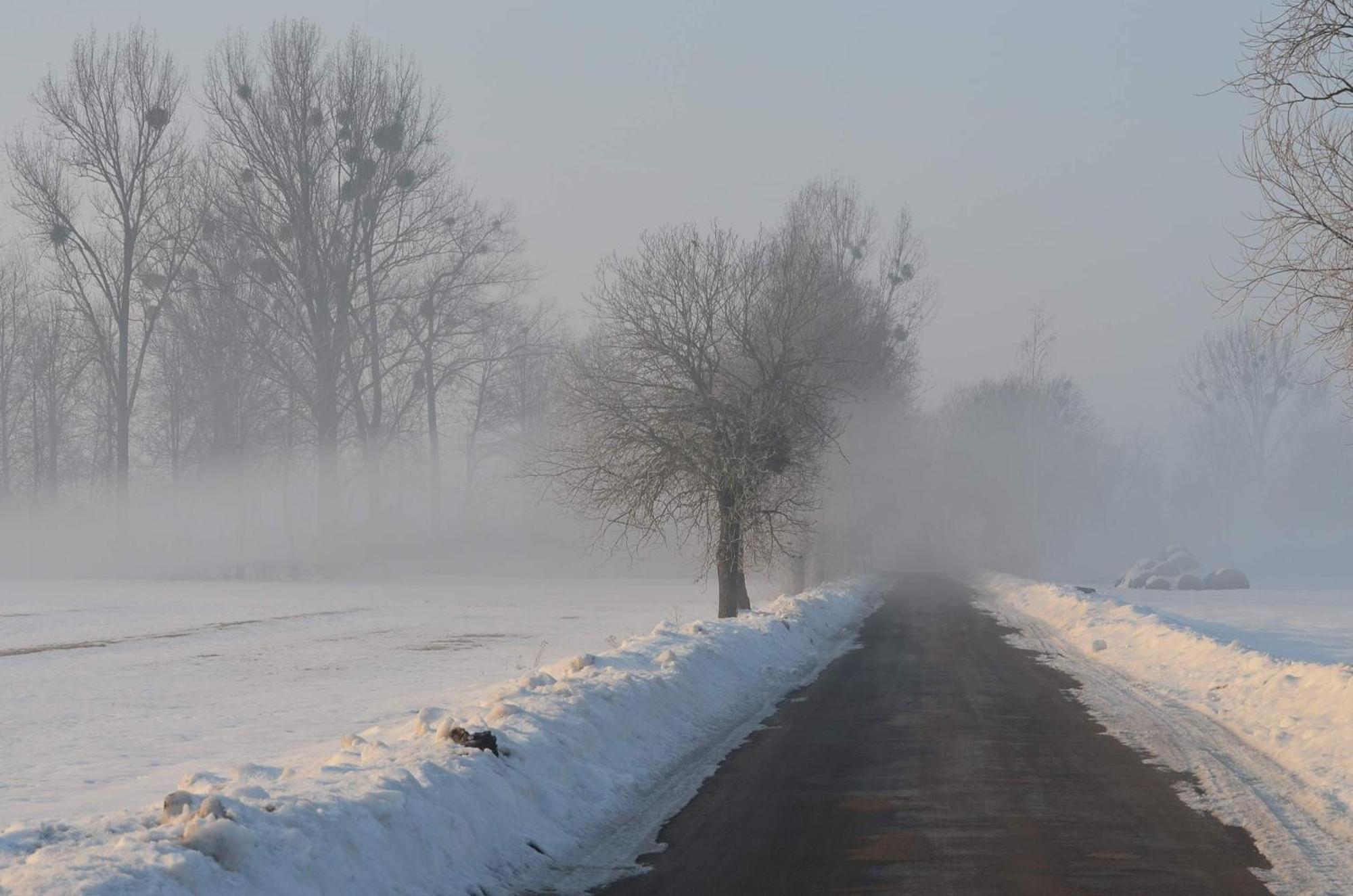 Vila Na Skraju Puszczy Hajnówka Exteriér fotografie