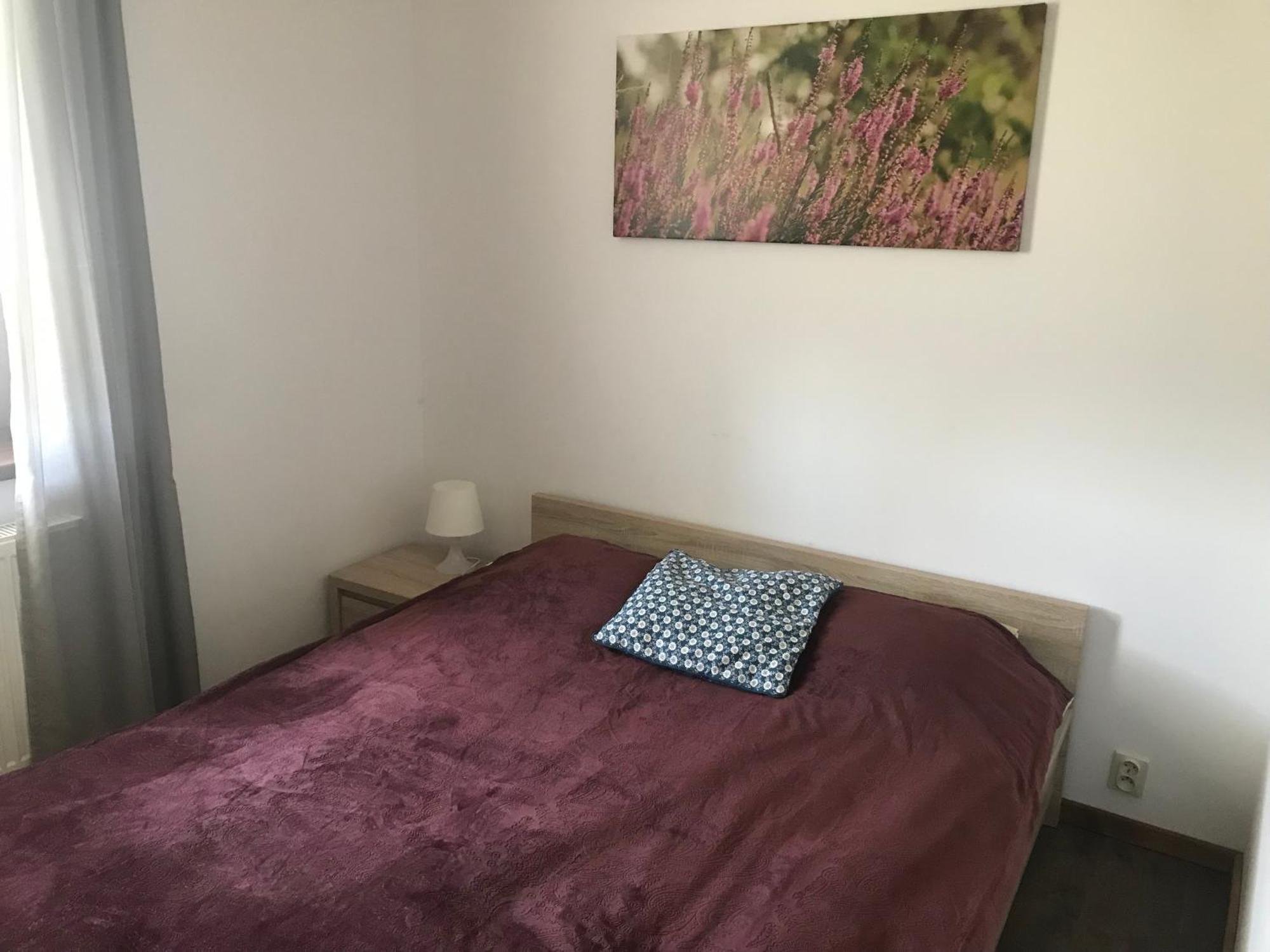 Vila Na Skraju Puszczy Hajnówka Exteriér fotografie